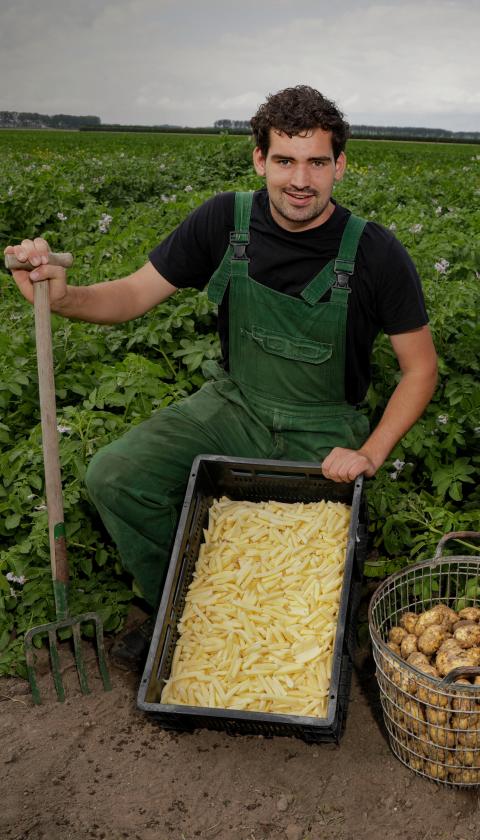 Zeeuws-Vlaamse Friet – ZVL Friet | Projecten Netwerk Platteland